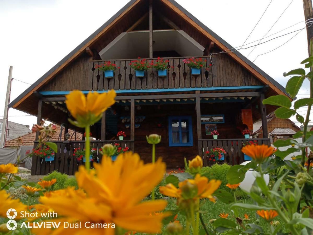 Casa Toth Din Tipterai Hotel Vişeu de Sus Exterior foto